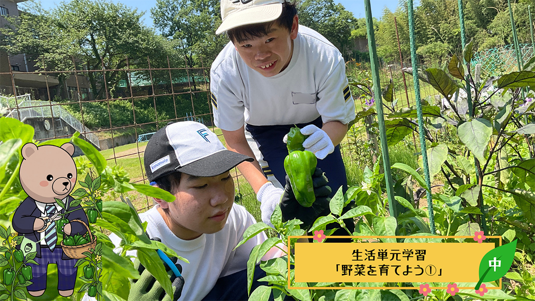中